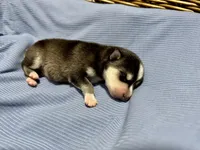 processed/c7d54862-b778-429e-9364-b1d4ef2a02d7/listing/42e6040c-00be-4f35-8dc8-ca9f8350c3f5/e9e3faf9-82ff-4c79-bee7-5c422897978e