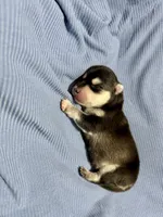 processed/c7d54862-b778-429e-9364-b1d4ef2a02d7/listing/704b60bd-1d06-4b99-a39e-1640c4e49a62/acec267d-35c3-4f74-b705-d11b6286d475