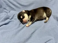 processed/c7d54862-b778-429e-9364-b1d4ef2a02d7/listing/704b60bd-1d06-4b99-a39e-1640c4e49a62/d8a98b07-9762-4e5d-a1a2-d124a392203e