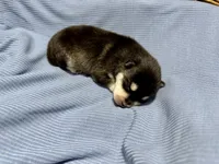 processed/c7d54862-b778-429e-9364-b1d4ef2a02d7/listing/d3f97b8e-2a46-418a-83fa-c5a967c678a1/506a28fa-a73c-4cc4-84ce-82e74e6a92b0