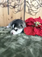 processed/c7d54862-b778-429e-9364-b1d4ef2a02d7/listing/e51a7a7c-9164-4125-895c-7da2ae0ec1fb/04fe4872-e95f-4e88-8d5a-82df58698312