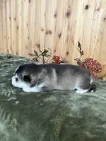 processed/c7d54862-b778-429e-9364-b1d4ef2a02d7/listing/e51a7a7c-9164-4125-895c-7da2ae0ec1fb/14000622-02d5-46f5-9920-db6f9b2f4a06