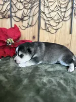 processed/c7d54862-b778-429e-9364-b1d4ef2a02d7/listing/e51a7a7c-9164-4125-895c-7da2ae0ec1fb/5654f62a-b3e9-4272-86d6-72fe612500ce