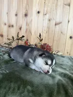 processed/c7d54862-b778-429e-9364-b1d4ef2a02d7/listing/e51a7a7c-9164-4125-895c-7da2ae0ec1fb/8c3346fd-884c-419d-b590-7e9e83715db1