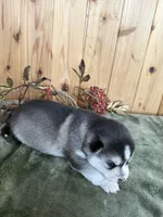 processed/c7d54862-b778-429e-9364-b1d4ef2a02d7/listing/e51a7a7c-9164-4125-895c-7da2ae0ec1fb/e59a2da3-ee54-4a48-963b-05fc0a736f7a