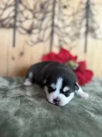 processed/c7d54862-b778-429e-9364-b1d4ef2a02d7/listing/f1f797e4-743b-46ca-8aa8-df66303dac96/1028060f-2109-4262-8285-4b106661ac0d