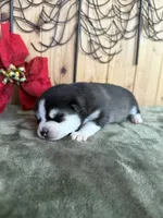 processed/c7d54862-b778-429e-9364-b1d4ef2a02d7/listing/f1f797e4-743b-46ca-8aa8-df66303dac96/4d034445-5c64-4421-8302-94dbf6419f42