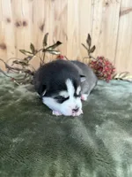 processed/c7d54862-b778-429e-9364-b1d4ef2a02d7/listing/f1f797e4-743b-46ca-8aa8-df66303dac96/b9bd1b2d-8c8b-4267-abf0-4593efb0c7be