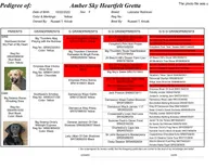 Gretta - pending, a female Labrador Retriever for sale in Columbia Station, OH – Photo 5 of 5