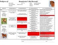 Bo, a male Labrador Retriever for sale in Columbia Station, OH – Photo 2 of 9