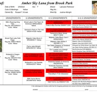 Lana - Pending, a female Labrador Retriever for sale in Columbia Station, OH – Photo 2 of 8