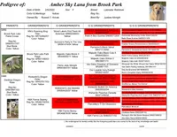 Lana - Pending, a female Labrador Retriever for sale in Columbia Station, OH – Photo 2 of 8