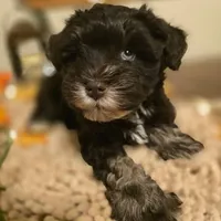 processed/c7e05eeb-7325-46f8-854c-2129e952e1a7/facility/06affbe7-d311-420e-9ccd-cfb53f5c211b