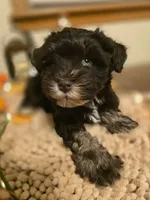 processed/c7e05eeb-7325-46f8-854c-2129e952e1a7/facility/06affbe7-d311-420e-9ccd-cfb53f5c211b