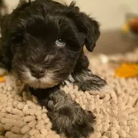 processed/c7e05eeb-7325-46f8-854c-2129e952e1a7/facility/3ab53d82-e936-4ee6-b7c8-f32dfcdee453