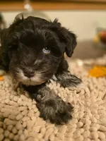 processed/c7e05eeb-7325-46f8-854c-2129e952e1a7/facility/3ab53d82-e936-4ee6-b7c8-f32dfcdee453