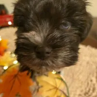 processed/c7e05eeb-7325-46f8-854c-2129e952e1a7/facility/4081a88f-6c56-42ee-bb86-b2f650bb5eb4