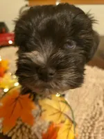 processed/c7e05eeb-7325-46f8-854c-2129e952e1a7/facility/4081a88f-6c56-42ee-bb86-b2f650bb5eb4