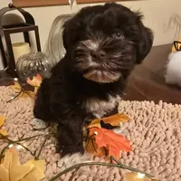 processed/c7e05eeb-7325-46f8-854c-2129e952e1a7/facility/778c514f-bd06-4b2b-ba2f-19f60d5bc896