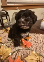 processed/c7e05eeb-7325-46f8-854c-2129e952e1a7/facility/778c514f-bd06-4b2b-ba2f-19f60d5bc896