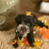 processed/c7e05eeb-7325-46f8-854c-2129e952e1a7/facility/9acd6f85-0d9c-4078-99a8-898b41eb1302