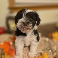 processed/c7e05eeb-7325-46f8-854c-2129e952e1a7/facility/9ffb27c4-cae2-4ece-af19-91d94a80e834