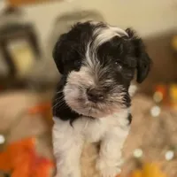 processed/c7e05eeb-7325-46f8-854c-2129e952e1a7/facility/d0a8a01e-51e3-4133-aa8c-d37630c911bb