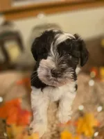 processed/c7e05eeb-7325-46f8-854c-2129e952e1a7/facility/d0a8a01e-51e3-4133-aa8c-d37630c911bb