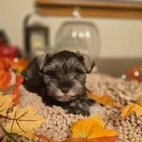 processed/c7e05eeb-7325-46f8-854c-2129e952e1a7/facility/ef029e7f-9775-4756-8111-6a1b6f9efd61