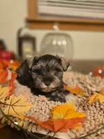 processed/c7e05eeb-7325-46f8-854c-2129e952e1a7/facility/ef029e7f-9775-4756-8111-6a1b6f9efd61