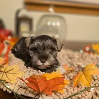 processed/c7e05eeb-7325-46f8-854c-2129e952e1a7/facility/f2db9db8-2b05-4d8e-b5b6-cdf7414ca54f