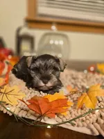 processed/c7e05eeb-7325-46f8-854c-2129e952e1a7/facility/f2db9db8-2b05-4d8e-b5b6-cdf7414ca54f