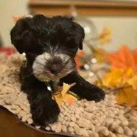 processed/c7e05eeb-7325-46f8-854c-2129e952e1a7/facility/ffba23fe-56bc-4c1d-bd1a-a6f4c856f833