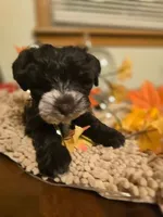 processed/c7e05eeb-7325-46f8-854c-2129e952e1a7/facility/ffba23fe-56bc-4c1d-bd1a-a6f4c856f833