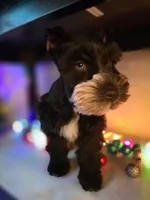 processed/c7e05eeb-7325-46f8-854c-2129e952e1a7/listing/12f84023-1fe7-4a36-afa4-51d61b2f3b4a/045f1391-0e89-4523-942f-60a529e5f822