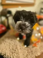 processed/c7e05eeb-7325-46f8-854c-2129e952e1a7/listing/12f84023-1fe7-4a36-afa4-51d61b2f3b4a/47c7c417-f512-46db-b42d-777c68c7a4a1