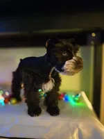 processed/c7e05eeb-7325-46f8-854c-2129e952e1a7/listing/12f84023-1fe7-4a36-afa4-51d61b2f3b4a/9a0d57df-1751-4565-835a-7988084819af