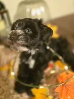 processed/c7e05eeb-7325-46f8-854c-2129e952e1a7/listing/12f84023-1fe7-4a36-afa4-51d61b2f3b4a/ba9be696-2698-4445-9d30-0b026aba35fc