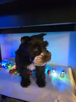 processed/c7e05eeb-7325-46f8-854c-2129e952e1a7/listing/12f84023-1fe7-4a36-afa4-51d61b2f3b4a/c3cf33a8-c26d-466d-a3b5-466f36c4ced8