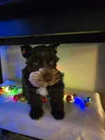 processed/c7e05eeb-7325-46f8-854c-2129e952e1a7/listing/12f84023-1fe7-4a36-afa4-51d61b2f3b4a/e1c6198d-5b82-4f4e-a227-c485c00c3d9c