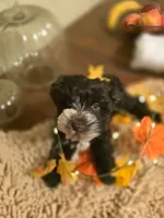 processed/c7e05eeb-7325-46f8-854c-2129e952e1a7/listing/12f84023-1fe7-4a36-afa4-51d61b2f3b4a/ead7217f-decb-41fe-a9c5-b1e4c06c0a4c