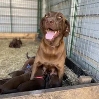 processed/c7ea6862-6813-4d07-82a4-e06af8552cd6/facility/f5befe42-0ca9-479c-a2b6-149ede4b29ff