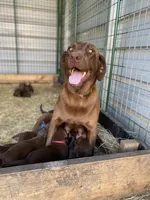 processed/c7ea6862-6813-4d07-82a4-e06af8552cd6/facility/f5befe42-0ca9-479c-a2b6-149ede4b29ff