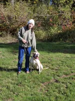 Emerald Hills Penny, a female American Bulldog for sale in Onalaska, WA – 3 of 4