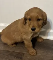 processed/c7f5efef-b650-4318-9cac-2ba6c4bfd179/listing/700a7180-7f44-4b6f-9175-719859cc4d21/696c51e3-82d5-4472-b677-fc6f294eb8a9