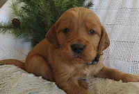 processed/c7f5efef-b650-4318-9cac-2ba6c4bfd179/listing/700a7180-7f44-4b6f-9175-719859cc4d21/c2f60d41-94ec-4e18-8d63-56f1853950a5