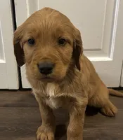 processed/c7f5efef-b650-4318-9cac-2ba6c4bfd179/listing/700a7180-7f44-4b6f-9175-719859cc4d21/f65e7a24-8997-4e21-a282-03e5f9816ed9