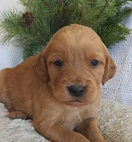 processed/c7f5efef-b650-4318-9cac-2ba6c4bfd179/listing/a1709ba4-3d0d-4437-8593-f58af16381f9/56217941-d042-41e8-94c8-5032799df1eb