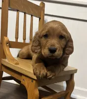 processed/c7f5efef-b650-4318-9cac-2ba6c4bfd179/listing/a1709ba4-3d0d-4437-8593-f58af16381f9/8a93850c-6b4b-4810-9b7b-f45e8aed8f5b