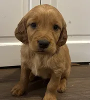 processed/c7f5efef-b650-4318-9cac-2ba6c4bfd179/listing/a1709ba4-3d0d-4437-8593-f58af16381f9/eb2db904-6188-4a18-973d-7a4411076db9